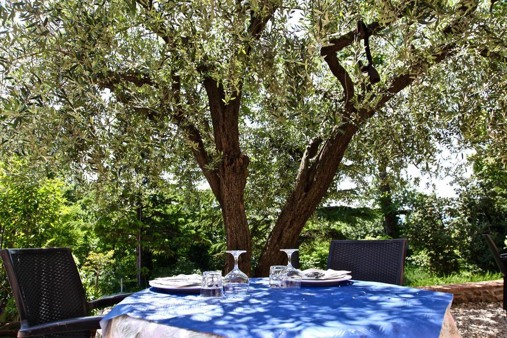 Agriturismo Biologico Villa Rosa Monte Guiduccio Exterior photo
